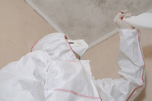 Certified Mold Removal in Ephrata, WA